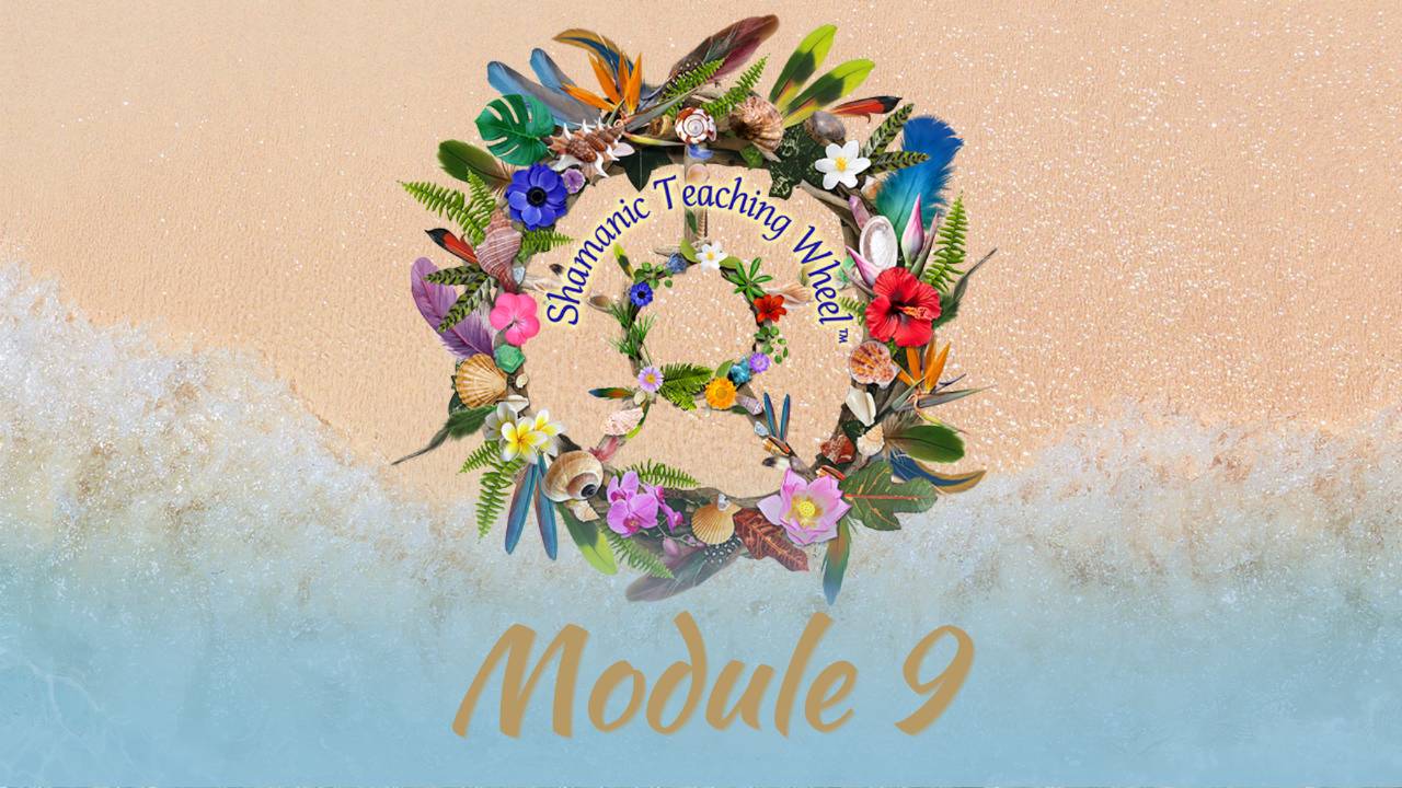 Scuola Sciamanica Anno 2