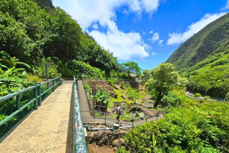Sentieri e vegetazione nella ʻĪao Valley