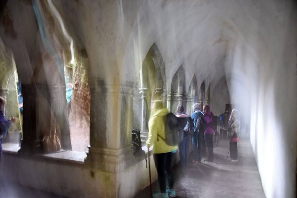 14199594 1788382411382675 5037857386139318677 n