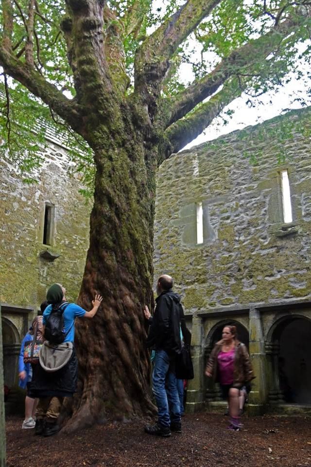 14238233 1788382451382671 6888013838867394019 n