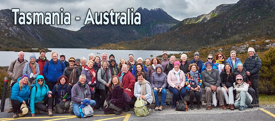 TasmaniaGruppo