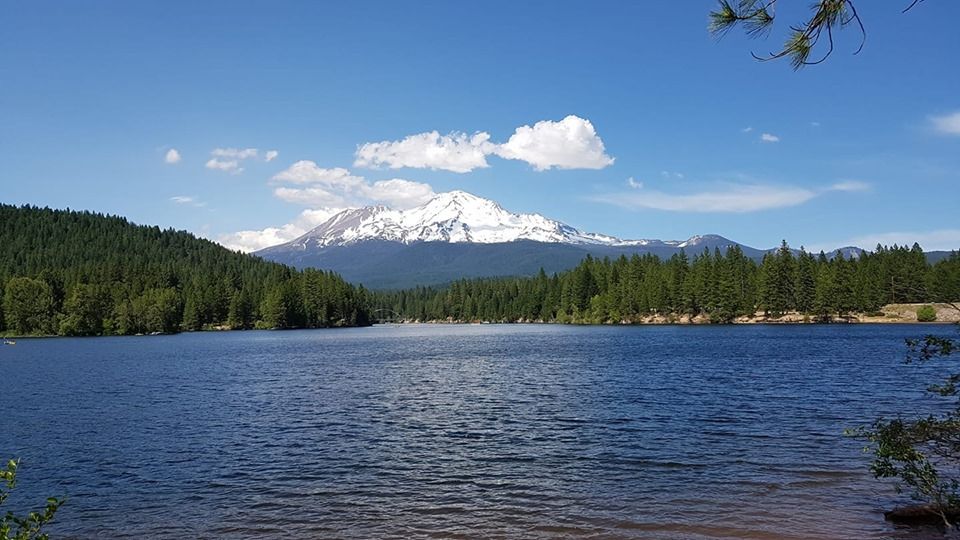 Shasta2019