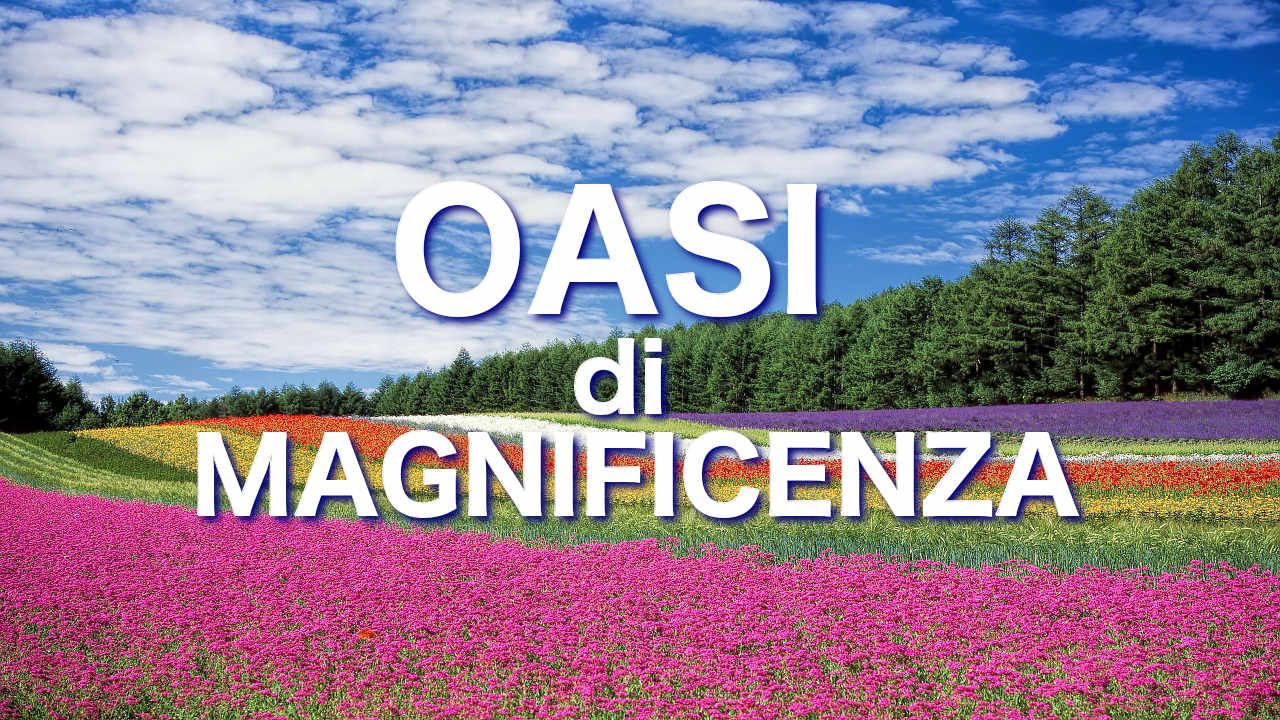 Oasi1